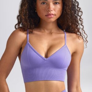 Define Luxe V-Neck Sports Bra in Purple