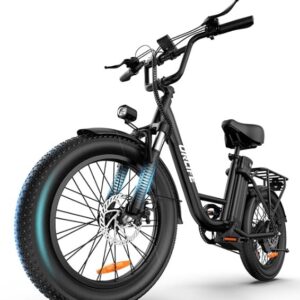 Electric Bike for Adults – 1000W Peak Motor, 48V 13Ah Battery, 20” Fat Tire E-Bike