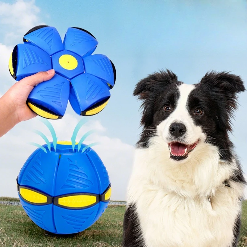 Frisbee Ball - Fun Flying Toy for Dogs