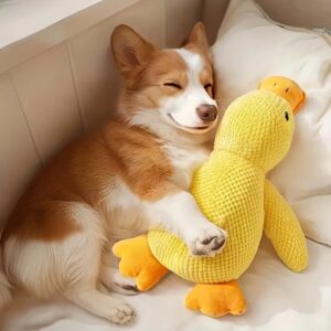 Chewable Duck Toy for Dogs - Chew Toys For Pet Dogs