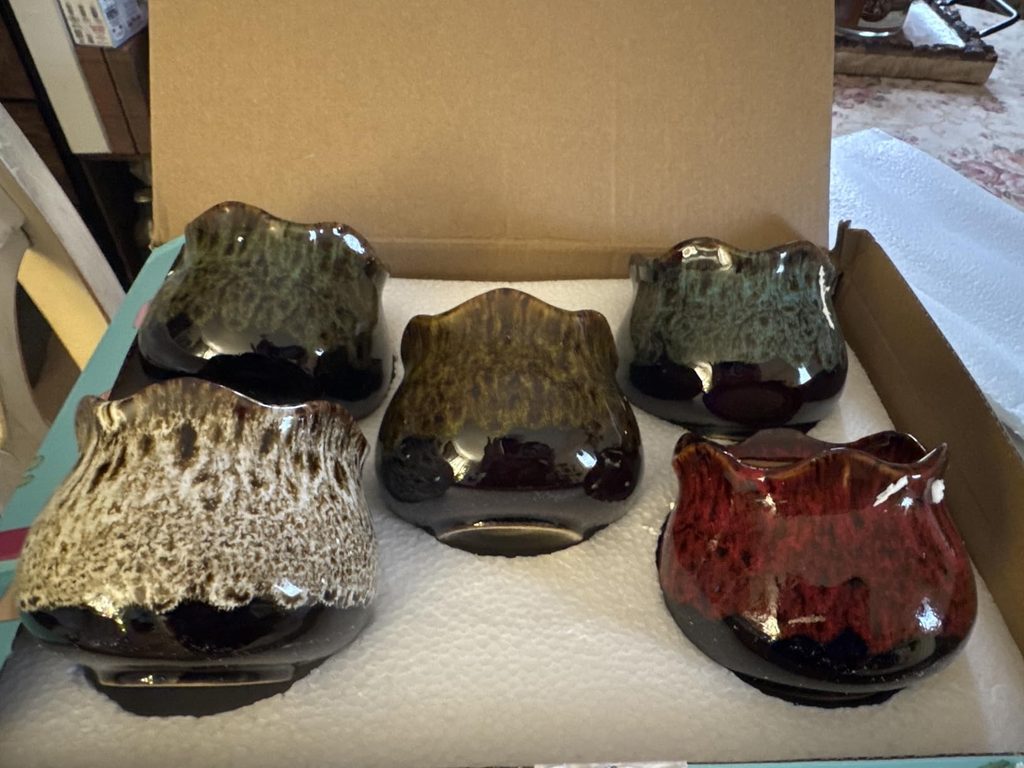 Five empty succulent garden pots with vivid crackle glaze in red, green, mustard, teal, and speckled cream, securely packed in a foam tray