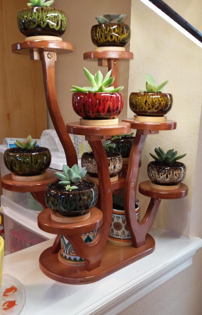 Collection of ceramic succulent pots in red, green, mustard, and speckled glaze on a tiered wooden plant stand indoors, each with a small succulent plant